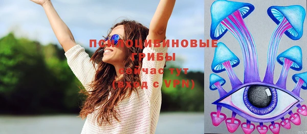 прущий лед Нея